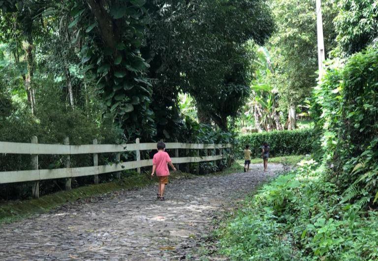 Monte Suico - Chales Para Locacao Guaramiranga Dış mekan fotoğraf